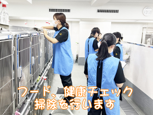 １年生が成犬、２年生が子犬をお世話♪